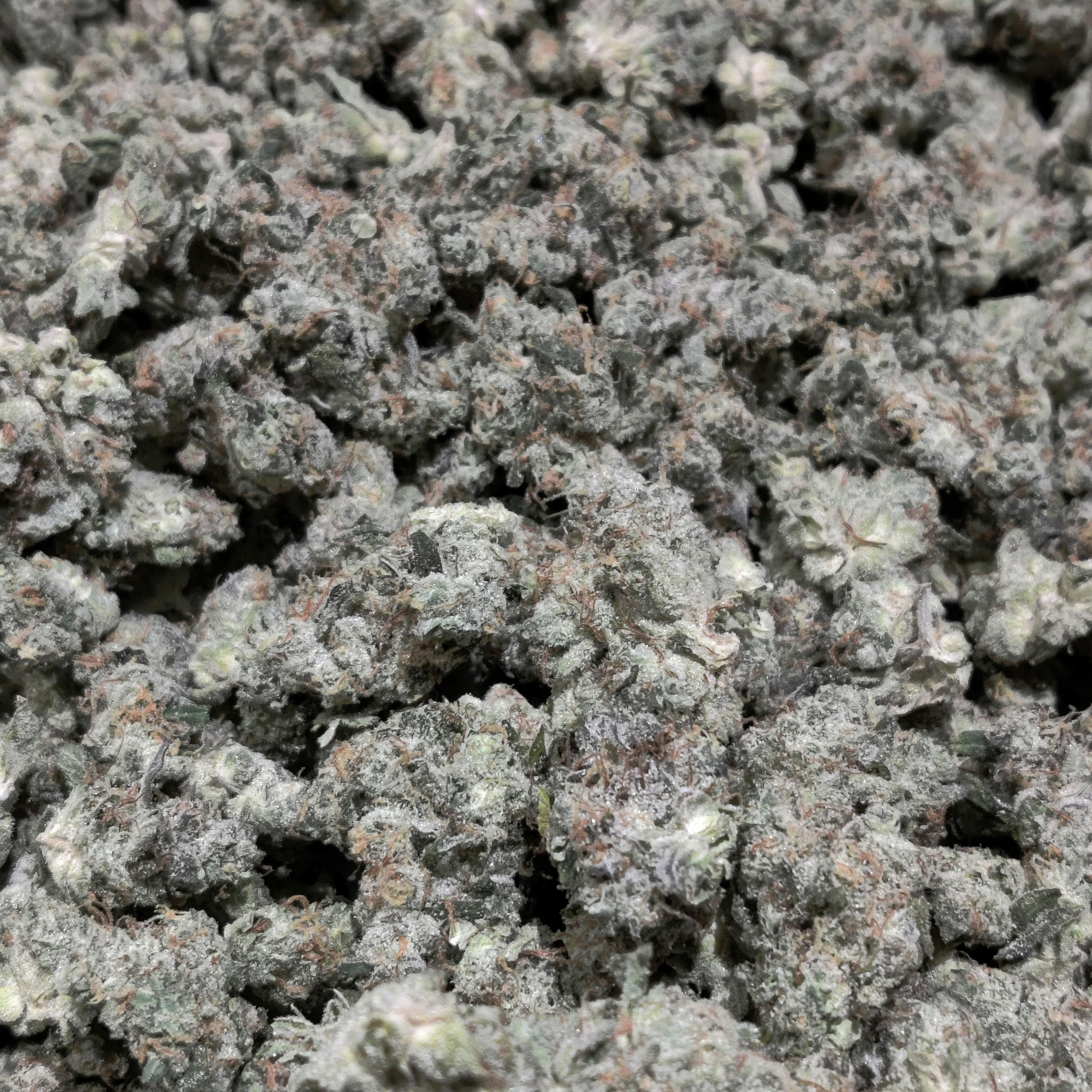 GMO Cookies ($200 oz)
